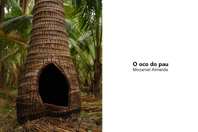 O oco do pau