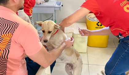 Picos inicia cadastro para castração gratuita de mil animais pelo Castramóvel (Foto: Divulgação) Picos inicia cadastro para castração gratuita de mil animais pelo Castramóvel (Foto: Divulgação)