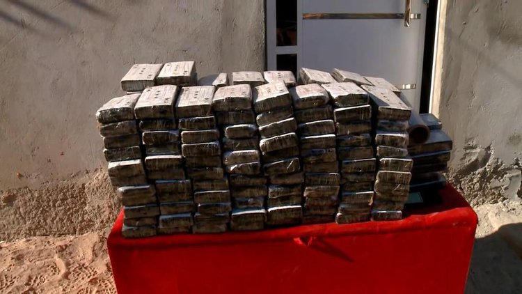 Polícia Civil localiza quase 200 kg de cocaína enterrados em sítio em Teresina.