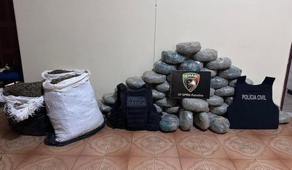 Polícias de PE e PI prendem 04 homens em flagrante e apreendem cerca de 83kg de maconha (Foto: Ascom/PCPE) Polícias de PE e PI prendem 04 homens em flagrante e apreendem cerca de 83kg de maconha (Foto: Ascom/PCPE)