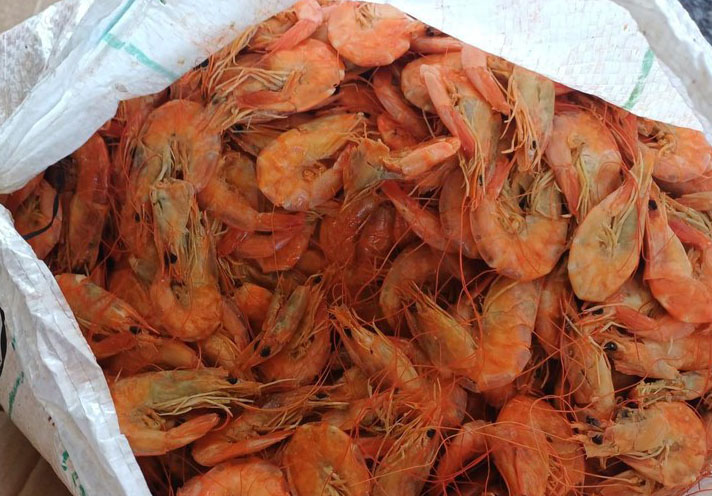 PRF apreende mais de 1 tonelada de pescado irregular na BR-343, em Piripiri