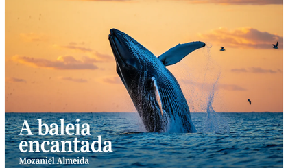 A baleia encantada (Foto: Gerado por IA)