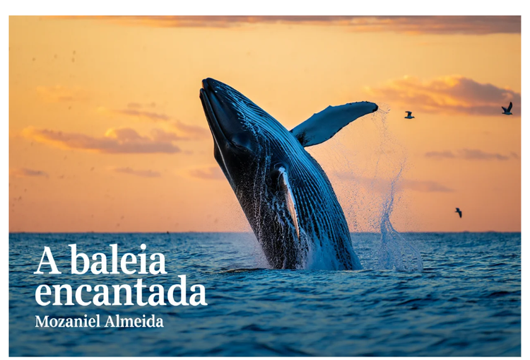 A baleia encantada