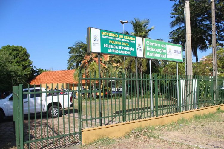 Cachorro é morto a tiro em passeio noturno na Zona Leste de Teresina; polícia faz buscas por atirador