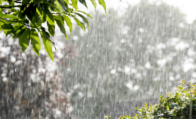 Chuva