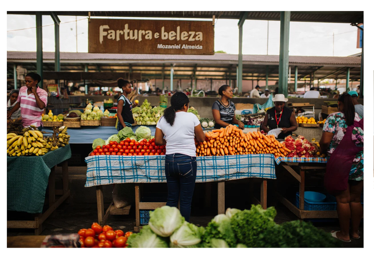 Fartura e beleza