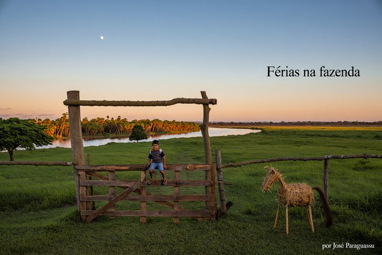 Férias na fazenda