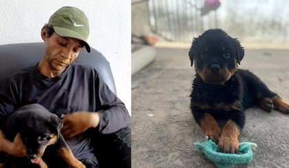 Filhote de cachorro é recuperado após ser furtado e vendido em Teresina. (Foto: Reprodução/Polícia Civil) Filhote de cachorro é recuperado após ser furtado e vendido em Teresina. (Foto: Reprodução/Polícia Civil)