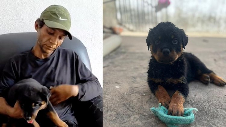 Filhote de cachorro é recuperado após ser furtado e vendido em Teresina.