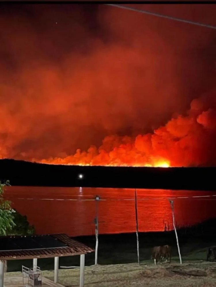 Fogo devasta 80 km² entre Pavussu e Canto do Buriti e ameaça comunidades