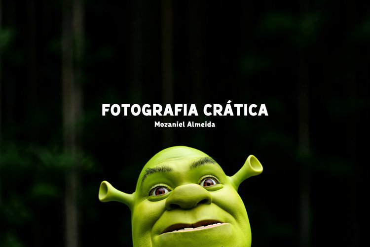 Fotografia crítica