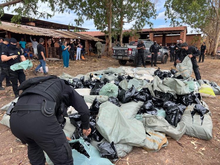Polícia Civil incinera mais de uma tonelada de drogas em Teresina.