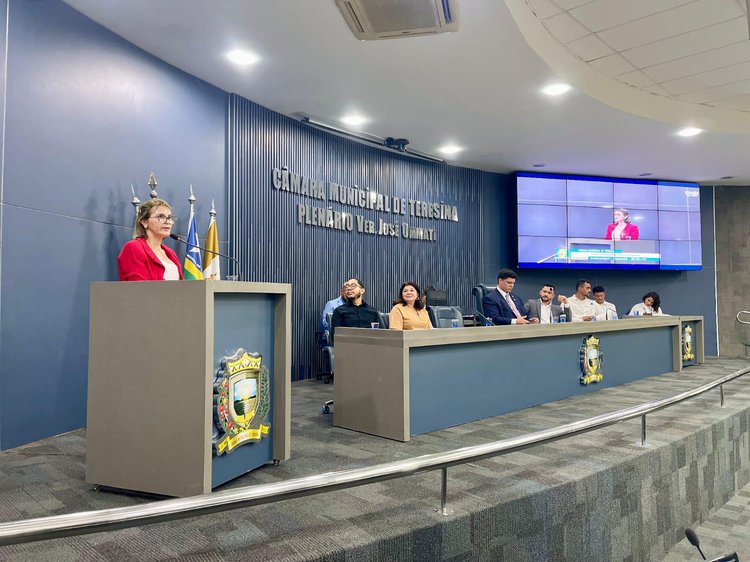 Professora da UFPI recebe homenagem em sessão da Câmara pelo Dia do Historiador.