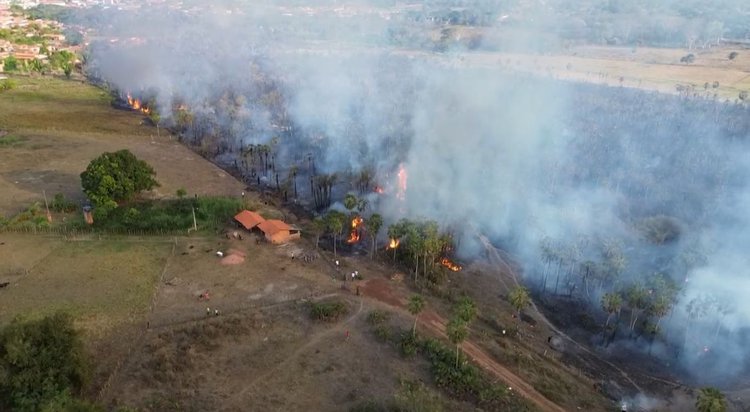 Fogo começou em queimada de entulho e mobiliza brigadistas e bombeiros em José de Freitas
