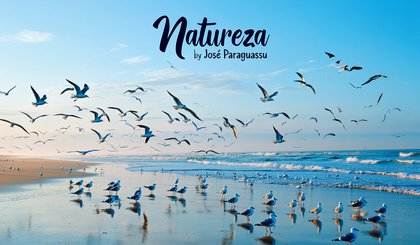 Natureza (Foto: Gerado por IA)