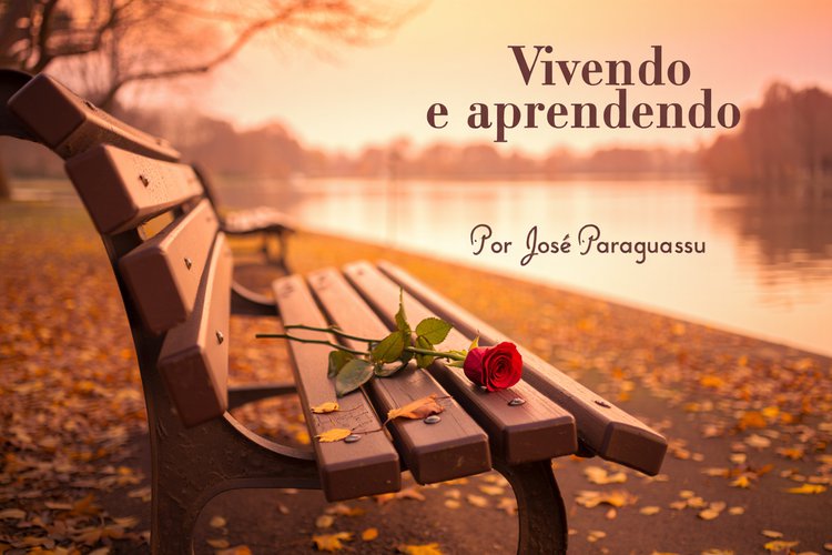 Vivendo e aprendendo