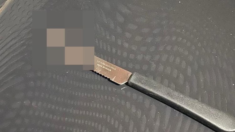 Adolescente autista defende mãe e mata padrasto no Piauí.