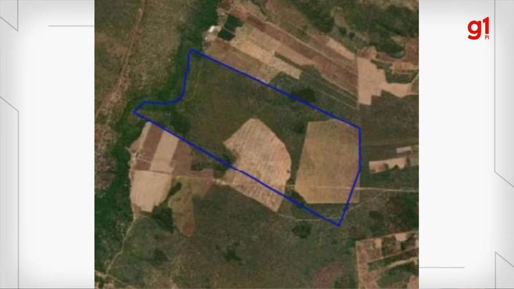 Leilão de fazenda no PI tem queda de preço para R$ 3,6 mi.