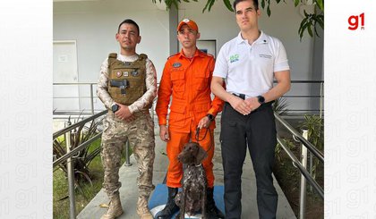 Novo cão policial especializado na detecção de restos mortais chega no Piauí (Foto: Reprodução) Novo cão policial especializado na detecção de restos mortais chega no Piauí (Foto: Reprodução)
