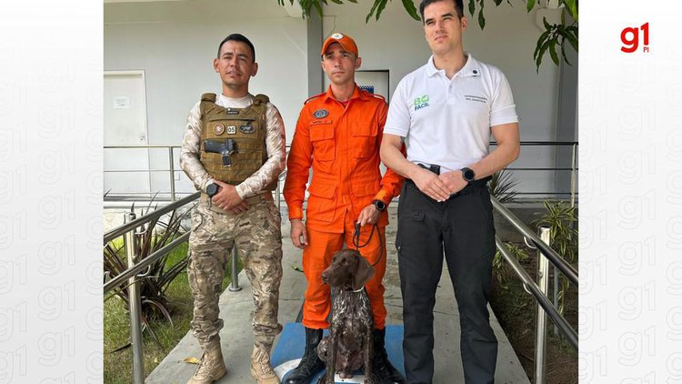 Novo cão policial especializado na detecção de restos mortais chega no Piauí