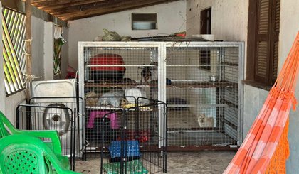 Operação “Lucro Sujo” resgata 10 cães e autua responsáveis por crimes ambientais (Foto: SSPI) Operação “Lucro Sujo” resgata 10 cães e autua responsáveis por crimes ambientais (Foto: SSPI)