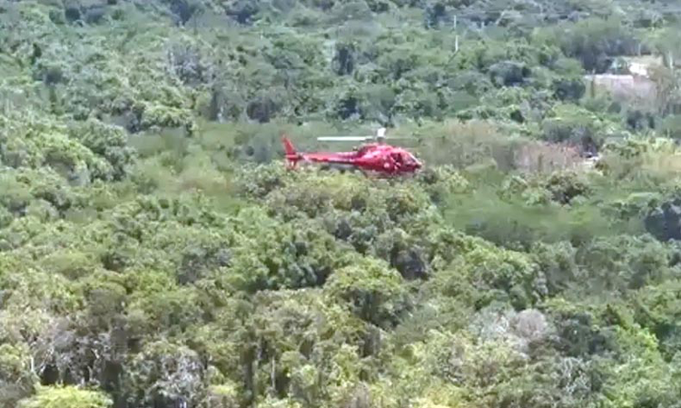 Queda ocorreu após decolagem em área de mata; aeronave tinha situação regular