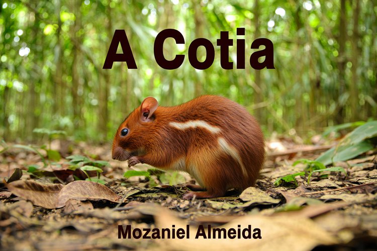 A Cotia