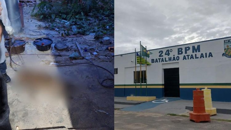 Cachorro morto é achado acorrentado em casa no litoral do Piauí