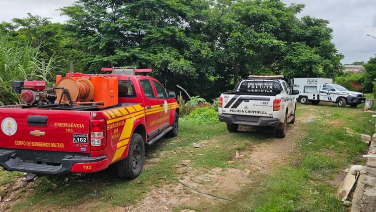 Corpo é encontrado em mata de Teresina após denúncia anônima.