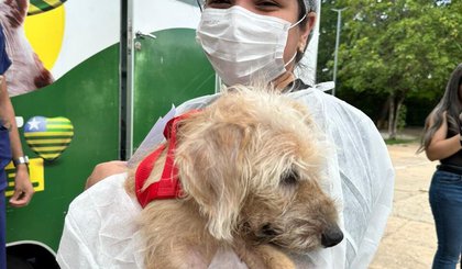 Governo do Piauí autoriza parceria para abrigar animais vítimas de maus-tratos apreendidos pela polícia. (Foto: Ascom Semarh) Governo do Piauí autoriza parceria para abrigar animais vítimas de maus-tratos apreendidos pela polícia. (Foto: Ascom Semarh)