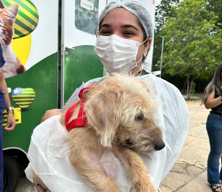 Governo do Piauí autoriza parceria para abrigar animais vítimas de maus-tratos apreendidos pela polícia.