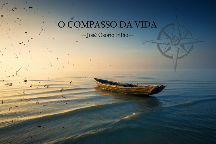 O COMPASSO DA VIDA