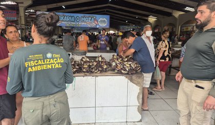 Período de defeso: Semarh realiza maior apreensão de caranguejos-uçá durante operação no litoral do Piauí. (Foto: Ascom Semarh) Período de defeso: Semarh realiza maior apreensão de caranguejos-uçá durante operação no litoral do Piauí. (Foto: Ascom Semarh)