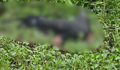 Homem desaparecido é encontrado sem vida no Piauí. (Foto: Reprodução) Homem desaparecido é encontrado sem vida no Piauí. (Foto: Reprodução)