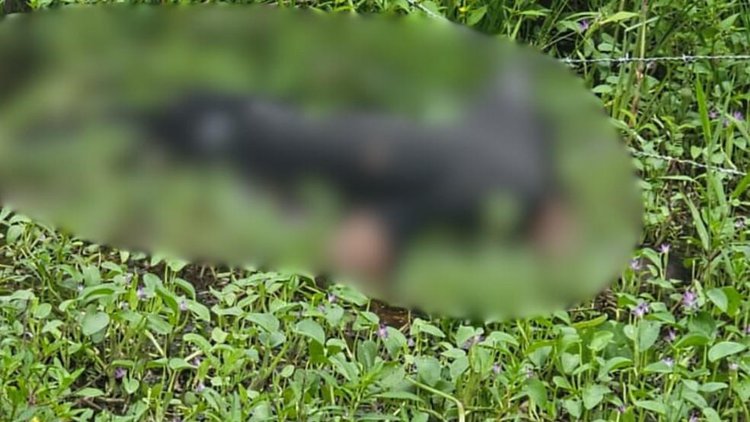 Homem desaparecido é encontrado sem vida no Piauí.