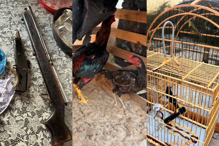 Operação contra o tráfico de drogas no Piauí apreende armas, munições e outros
