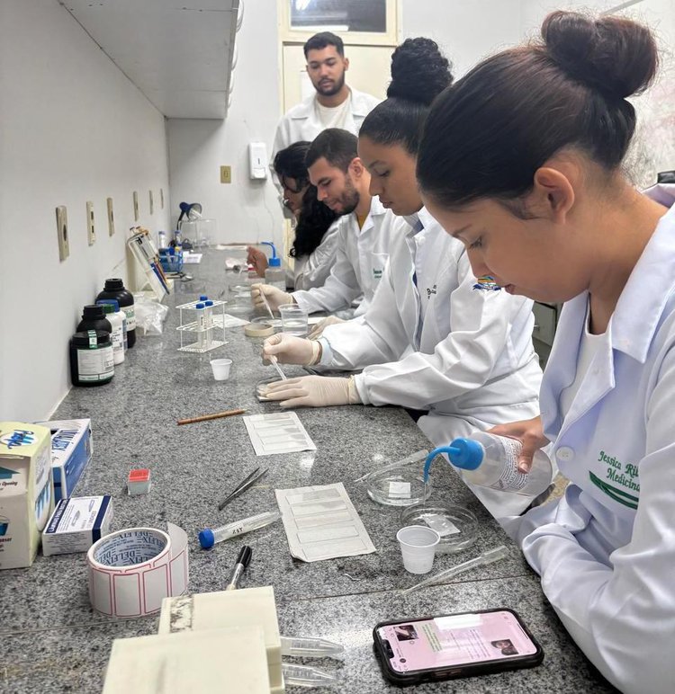 UFPI investiga segurança de plantas medicinais no Piauí.