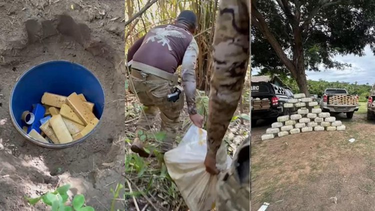 Tonel com maconha encontrado em sítio eleva apreensões no MA.