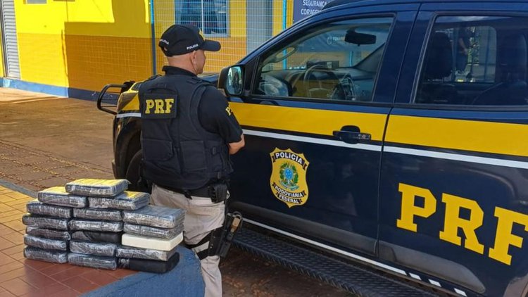 Cocaína é encontrada após fiscalização flagrar transporte de madeira ilegal