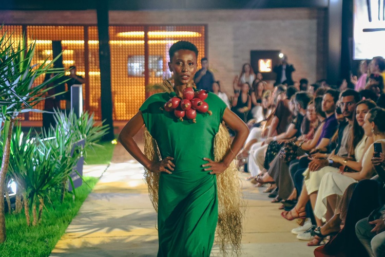 Coleção “Feitos no Piauí” é lançada, valorizando cultura, arte e identidade piauiense.
