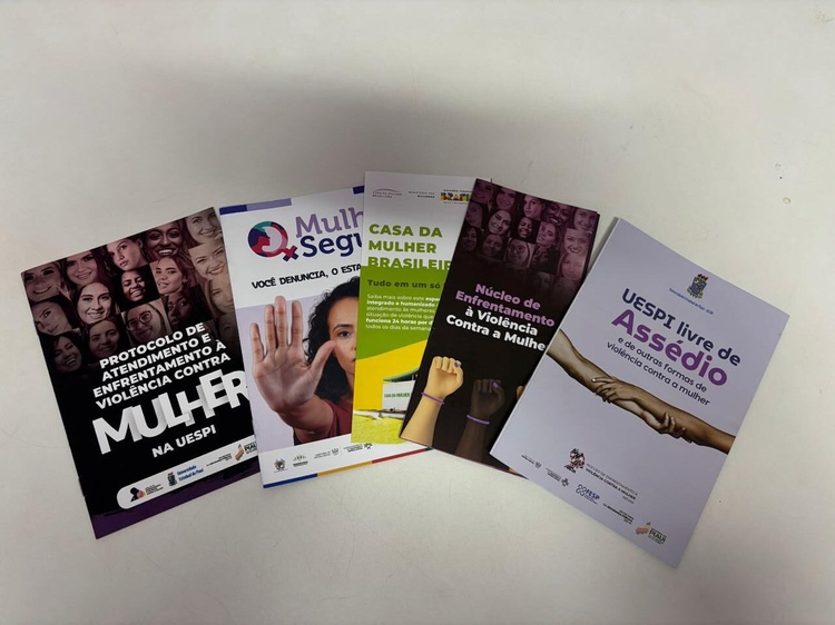 Governo do Piauí cria plano estadual para reduzir feminicídios e ampliar políticas públicas de proteção às mulheres.