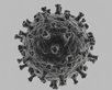Hantavirus (Foto: Gerado por IA
