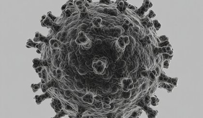 Surto de Ebola na República Democrática do Congo atinge 363 casos confirmados