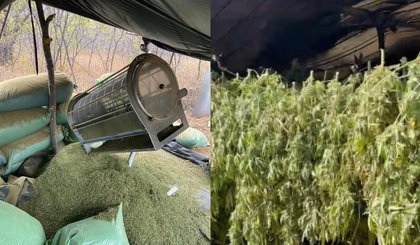 Polícia Federal descobre plantação de maconha com estrutura sofisticada no PI. (Foto: Reprodução/Polícia Federal) Polícia Federal descobre plantação de maconha com estrutura sofisticada no PI. (Foto: Reprodução/Polícia Federal)