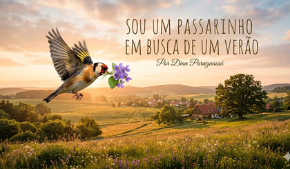 SOU UM PASSARINHO EM BUSCA DE UM VERÃO