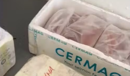 PRF apreende 650 kg de alimentos sem documentação no Piauí