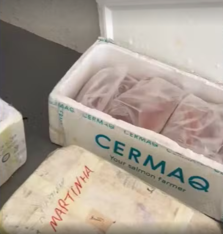 Carga com 650 kg de lula, camarão, peixe e queijo é apreendida pela PRF.
