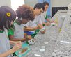 Estudantes da rede estadual de Floriano usam resíduos orgânicos para criar embalagem biodegradável. (Foto: Ascom Seduc