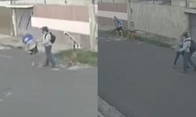Idoso e cachorrão são agredidos por motociclista em Teresina