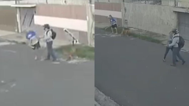 Idoso e cachorro são atacados com socos e chutes por motociclista durante passeio em Teresina; veja vídeo